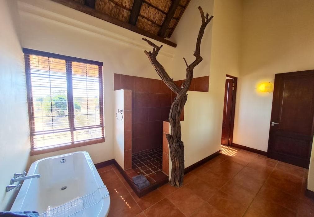 2 Zebula Waterberg over the Savannah