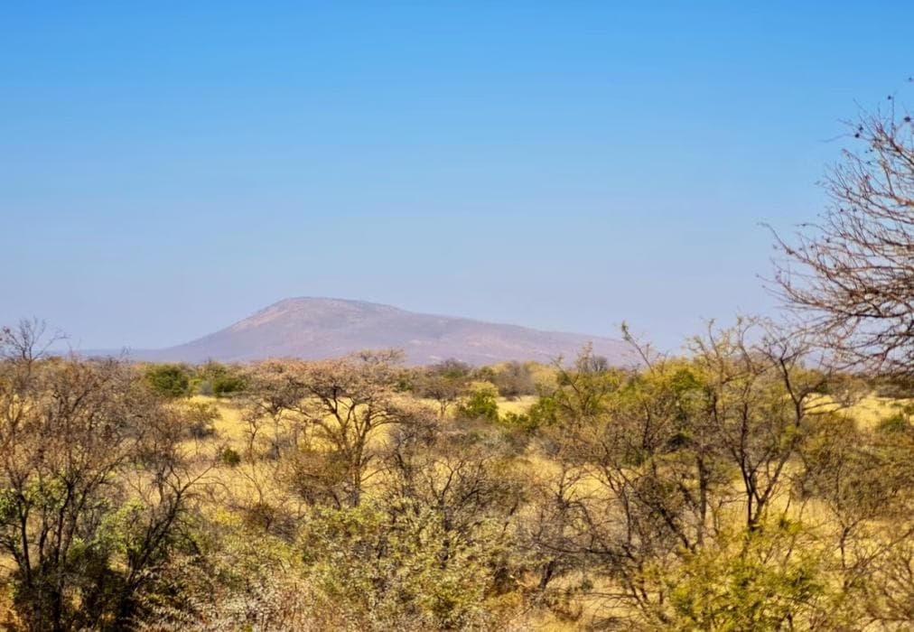 2 Zebula Waterberg over the Savannah