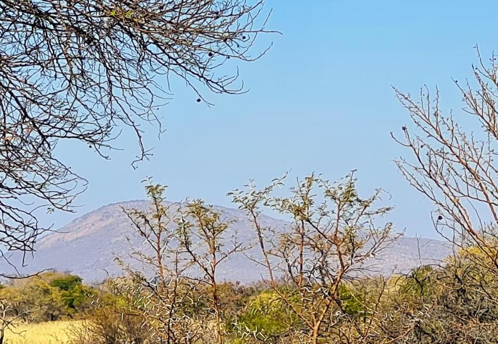 2 Zebula Waterberg over the Savannah