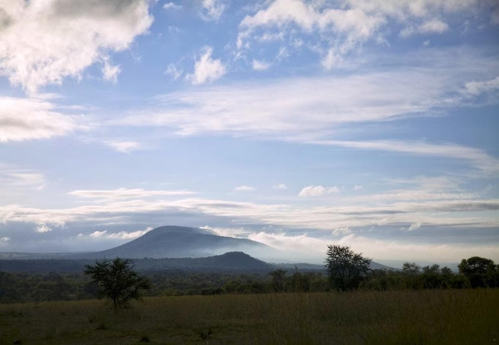 2 Zebula Waterberg over the Savannah