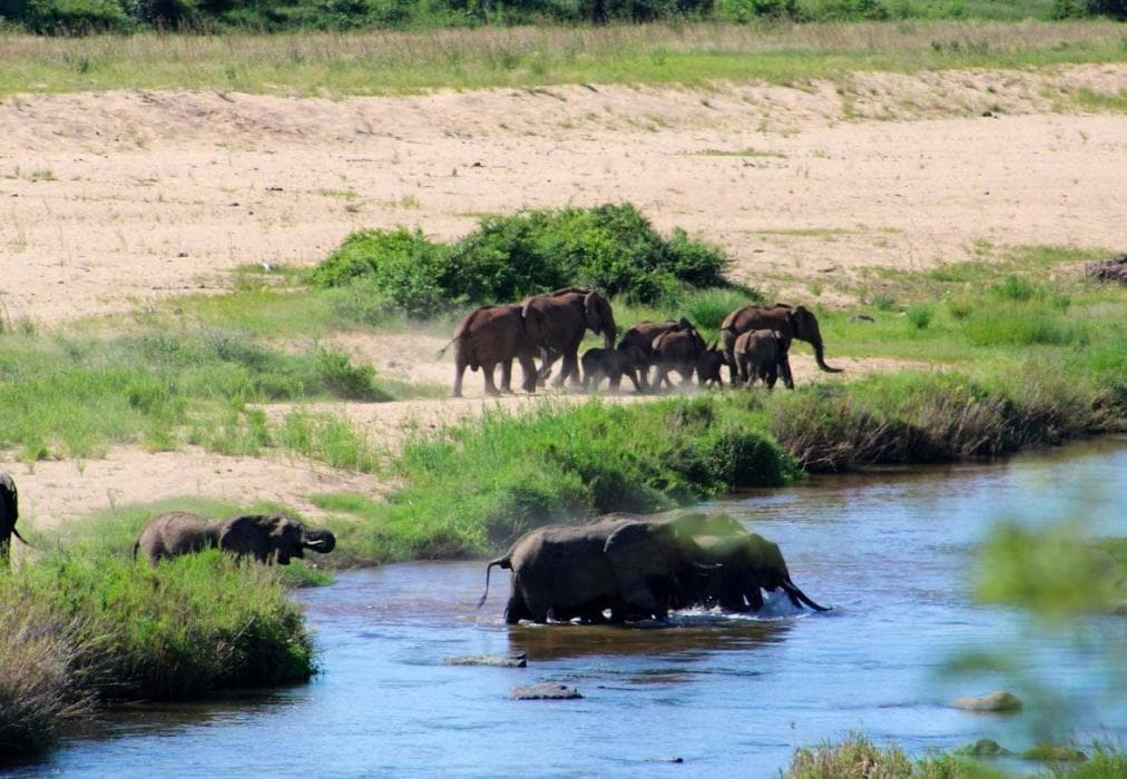 Hippo Hills, Ngwenya Lodge