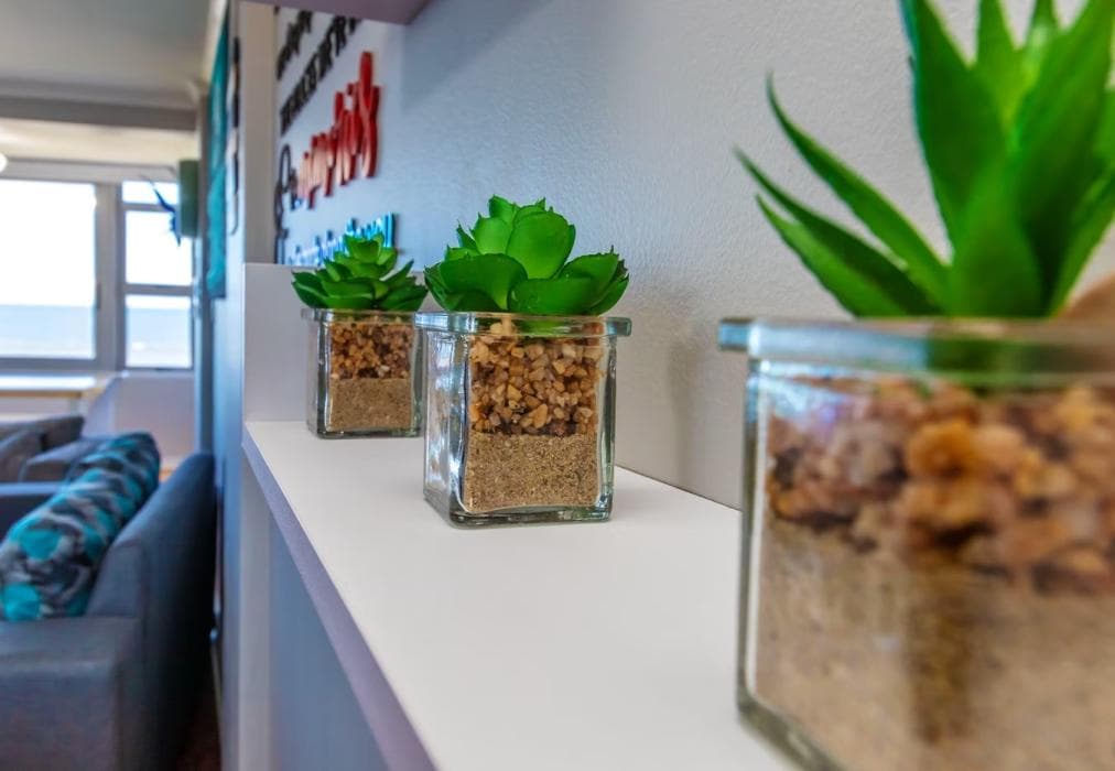 14 Warnerdoone Beachfront Apartment