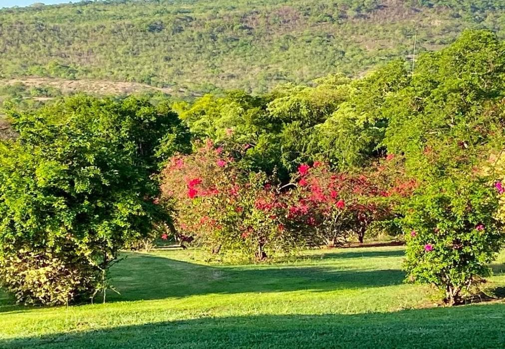 Zazu Lodge, Kruger Park Lodge IKZ2