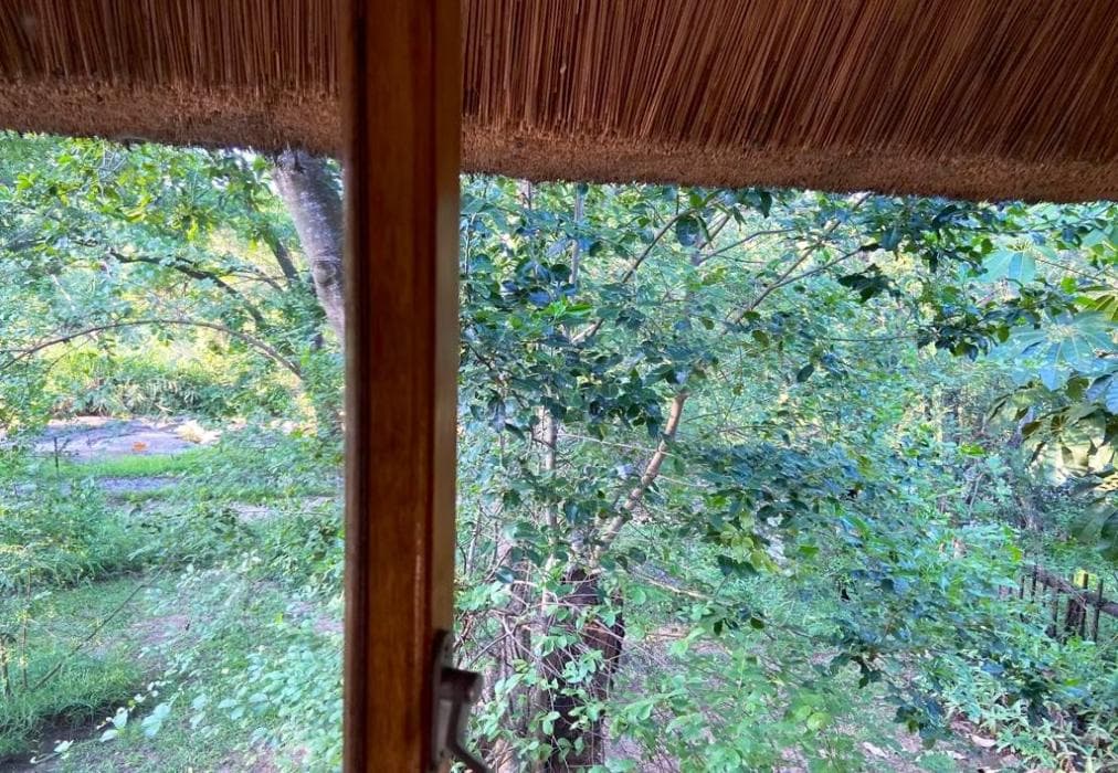 Zazu Lodge, Kruger Park Lodge IKZ2