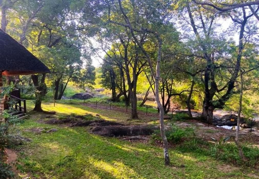 Zazu Lodge, Kruger Park Lodge IKZ2