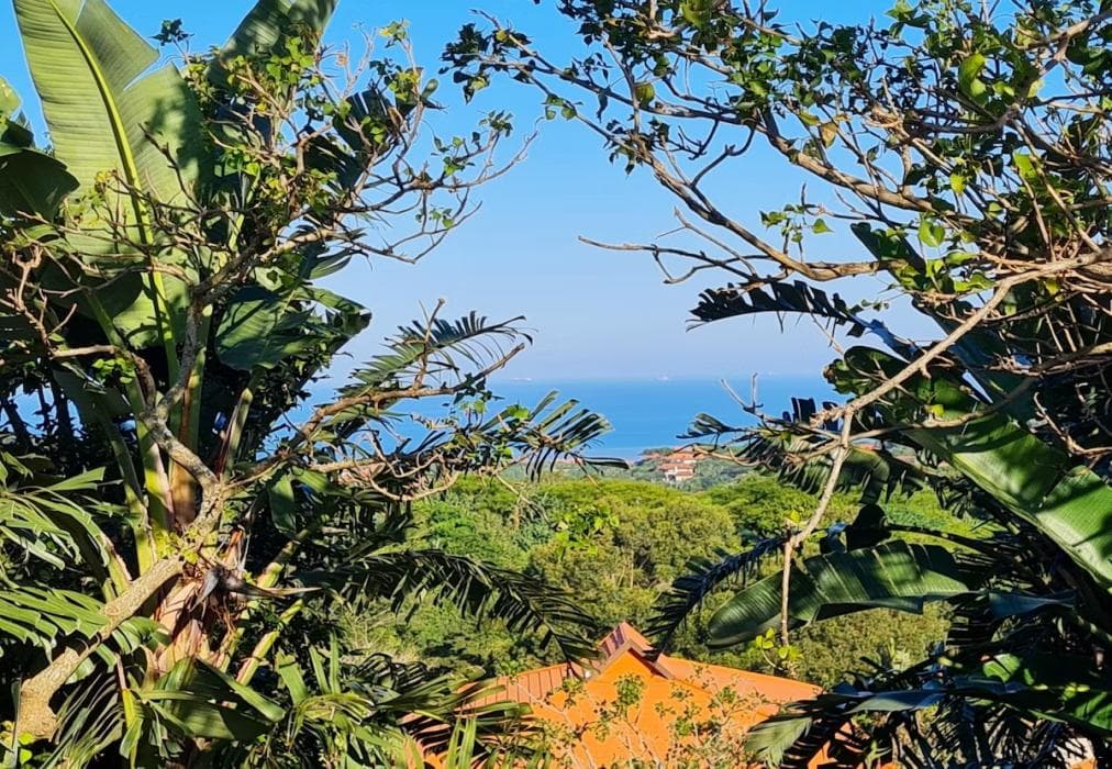 Zimbali 3-Bedroom Sanctuary