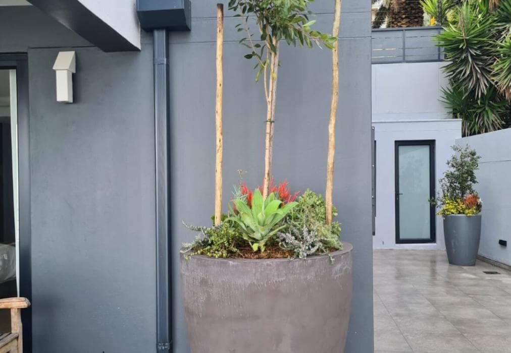 Camps Bay Villa CS48