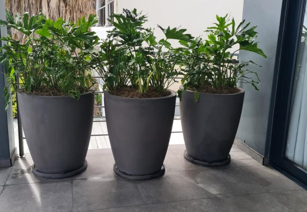 Camps Bay Villa CS48