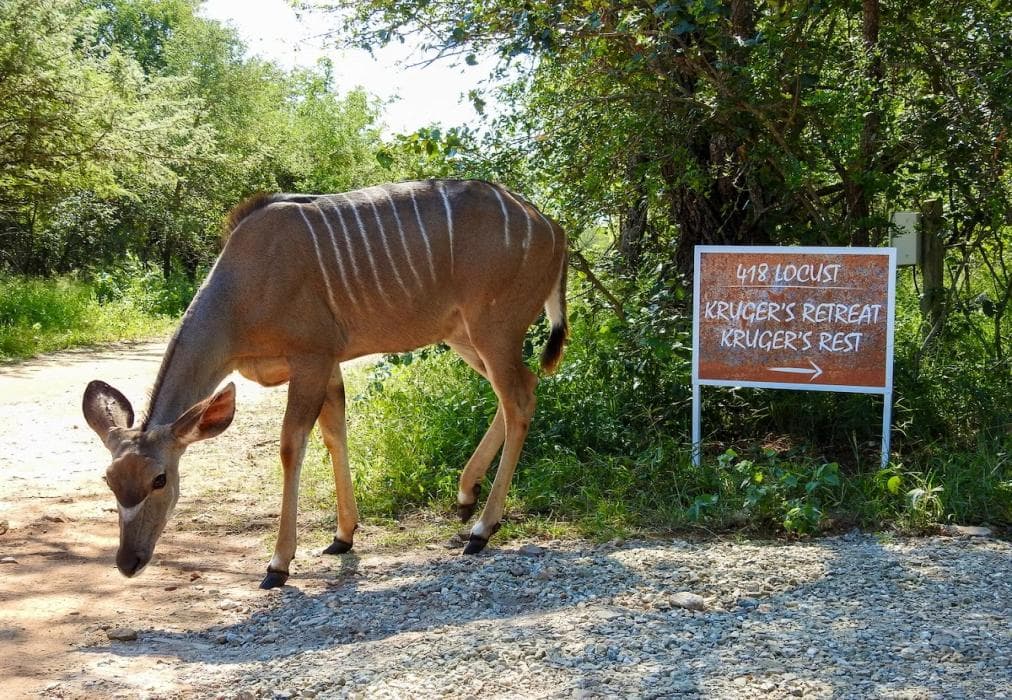 Kruger’s Retreat and Rest