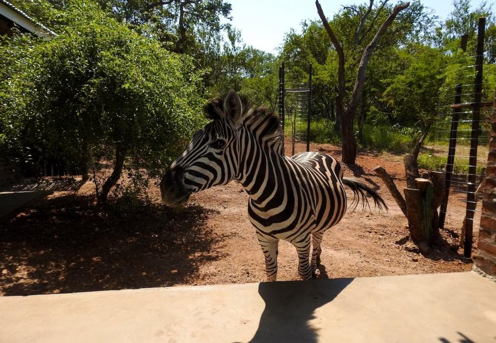 Kruger’s Retreat and Rest