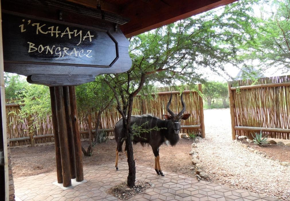 Makhato Lodge 11