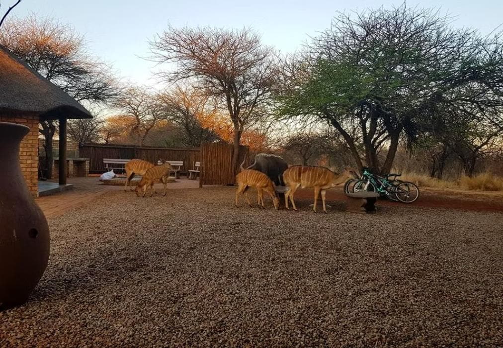 Makhato Lodge 96