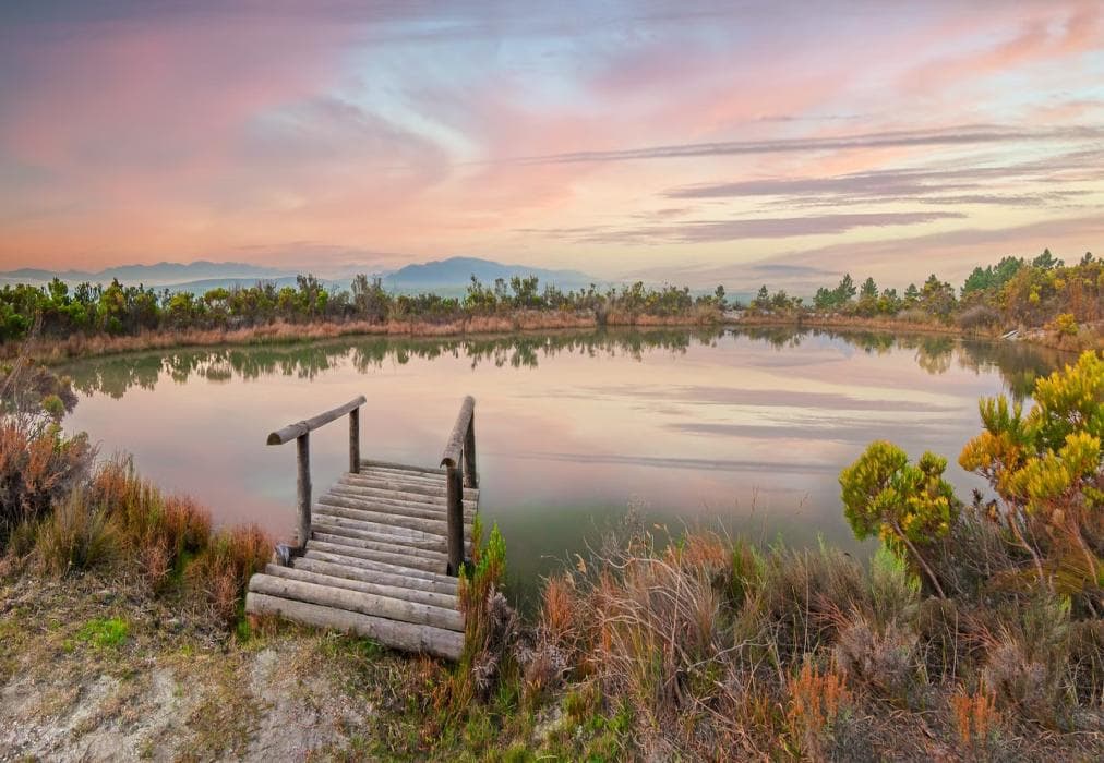 Black Eagle Lodges - The Lodge