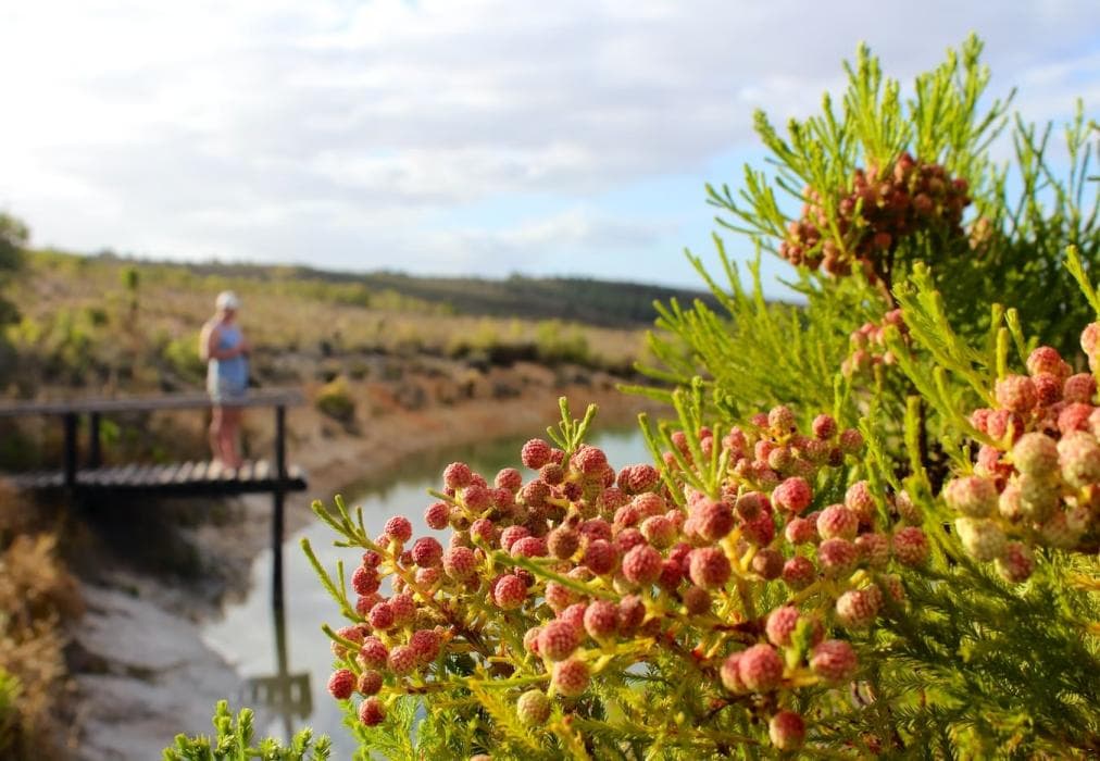 Black Eagle Lodges - The Lodge