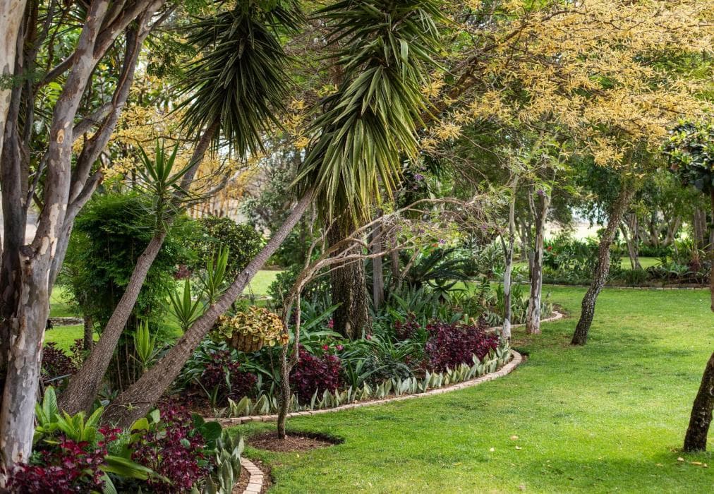 Naledi@53 Private Game Farm