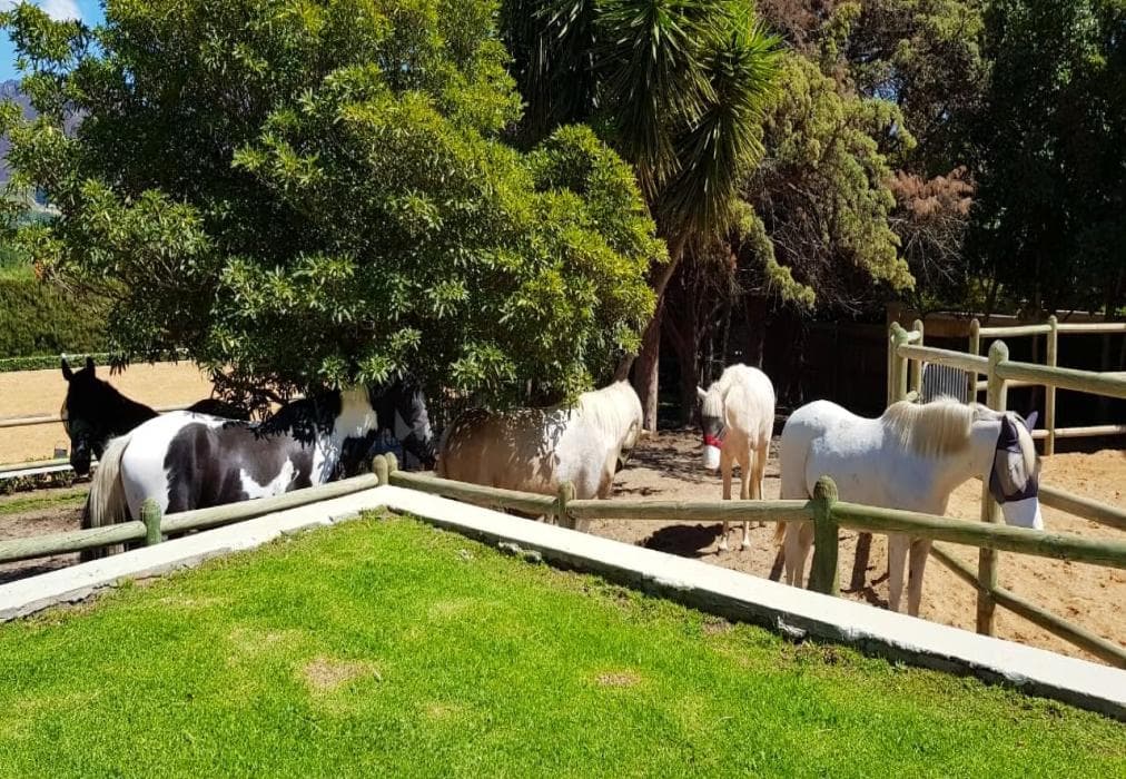 Verdun Country House