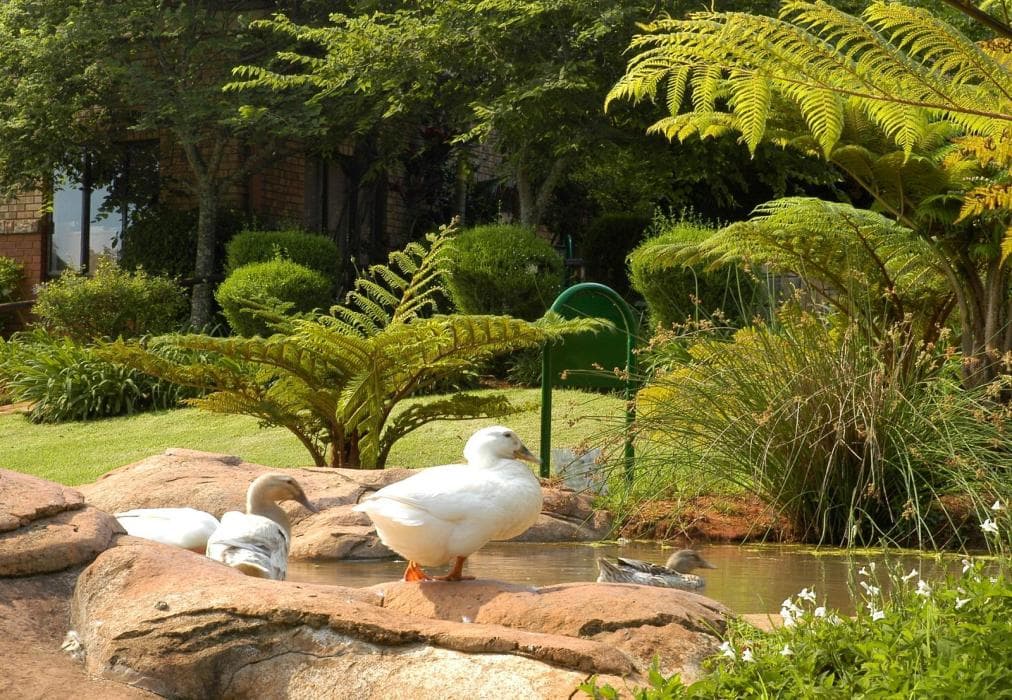 Pennys Place on Greenway