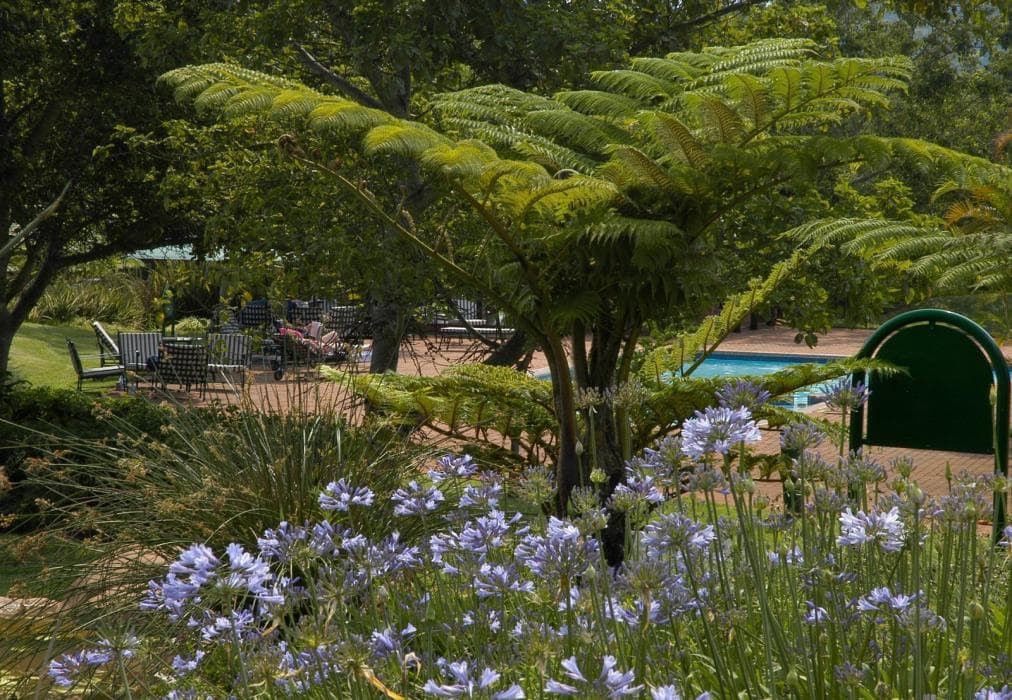 Pennys Place on Greenway