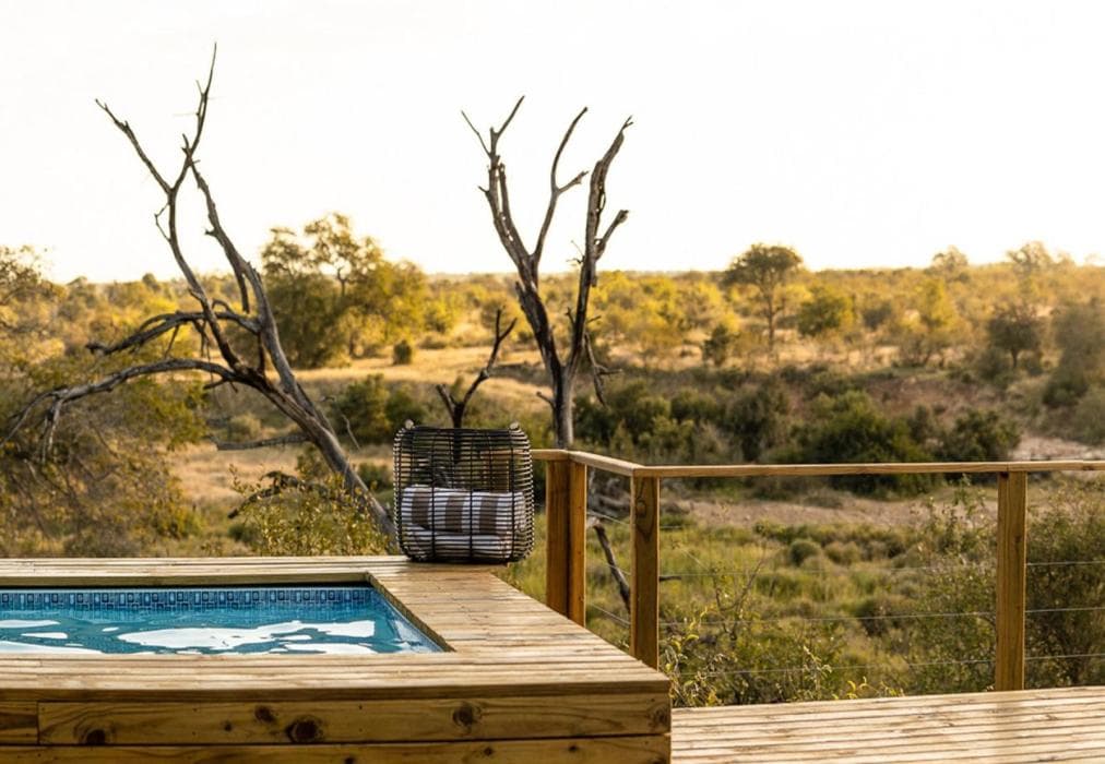 Simbavati Mvubu Cottage