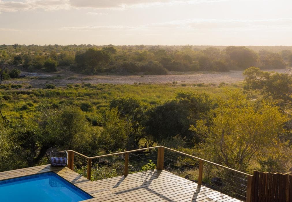 Simbavati Mvubu Cottage