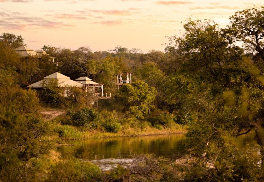 Simbavati Mvubu Cottage