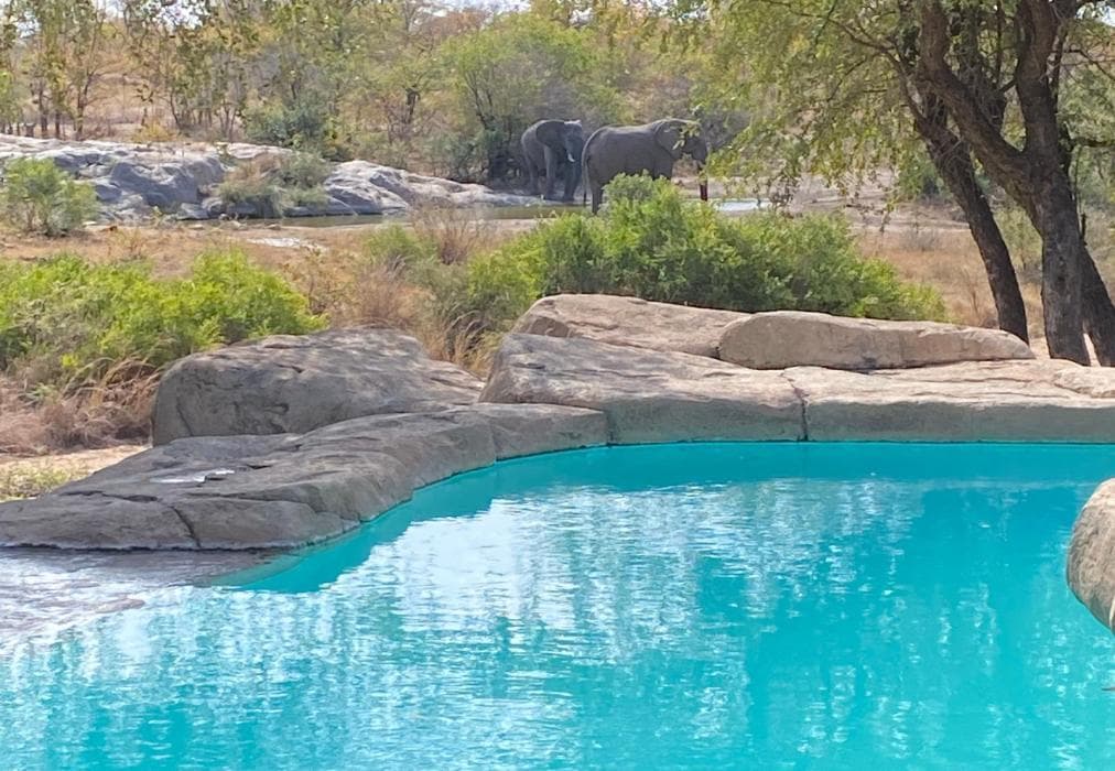 Simbavati River Sands