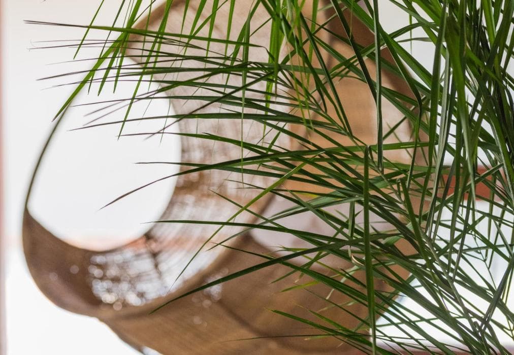 Simbavati River Sands