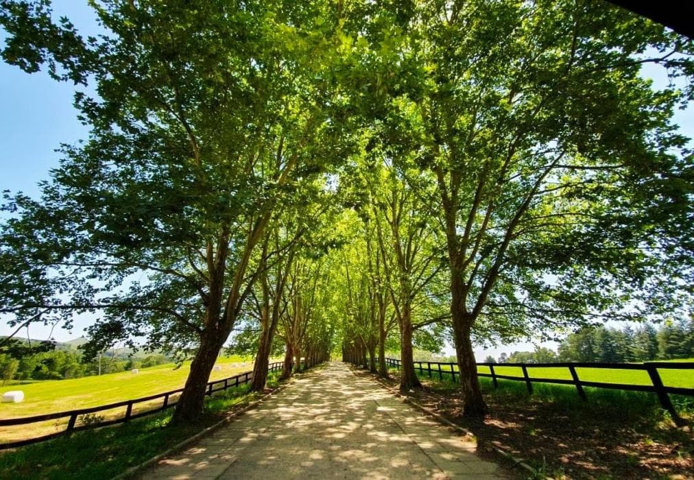 Invermooi Estate - The Stables