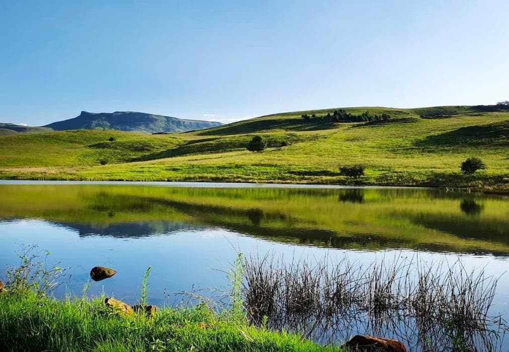 Invermooi Estate - The Stables