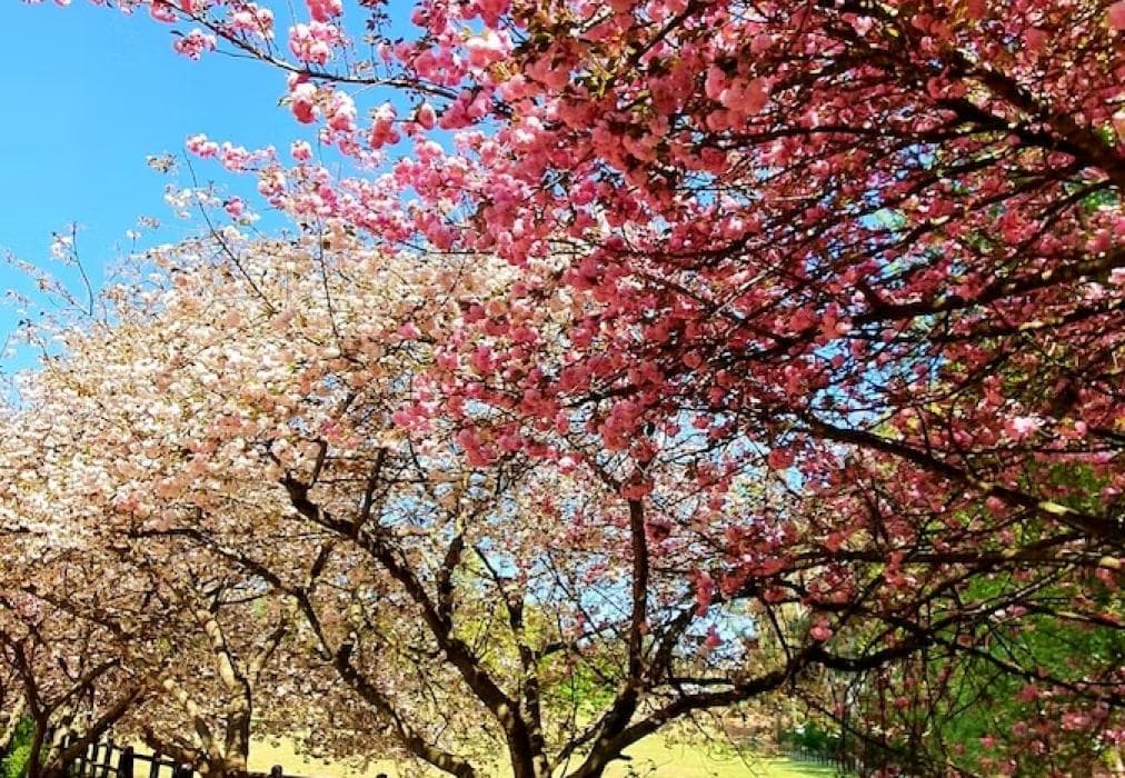 Invermooi Estate - The Stables