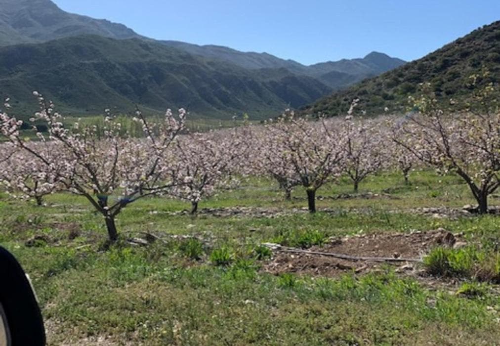 Ontevreden Farm Cottage