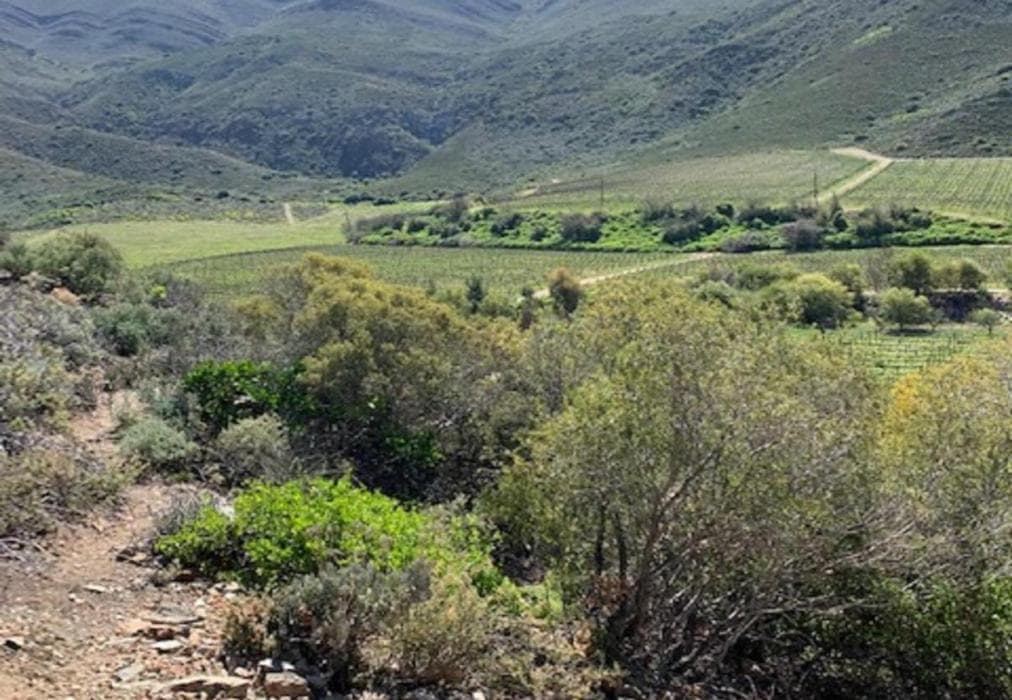 Ontevreden Farm Cottage