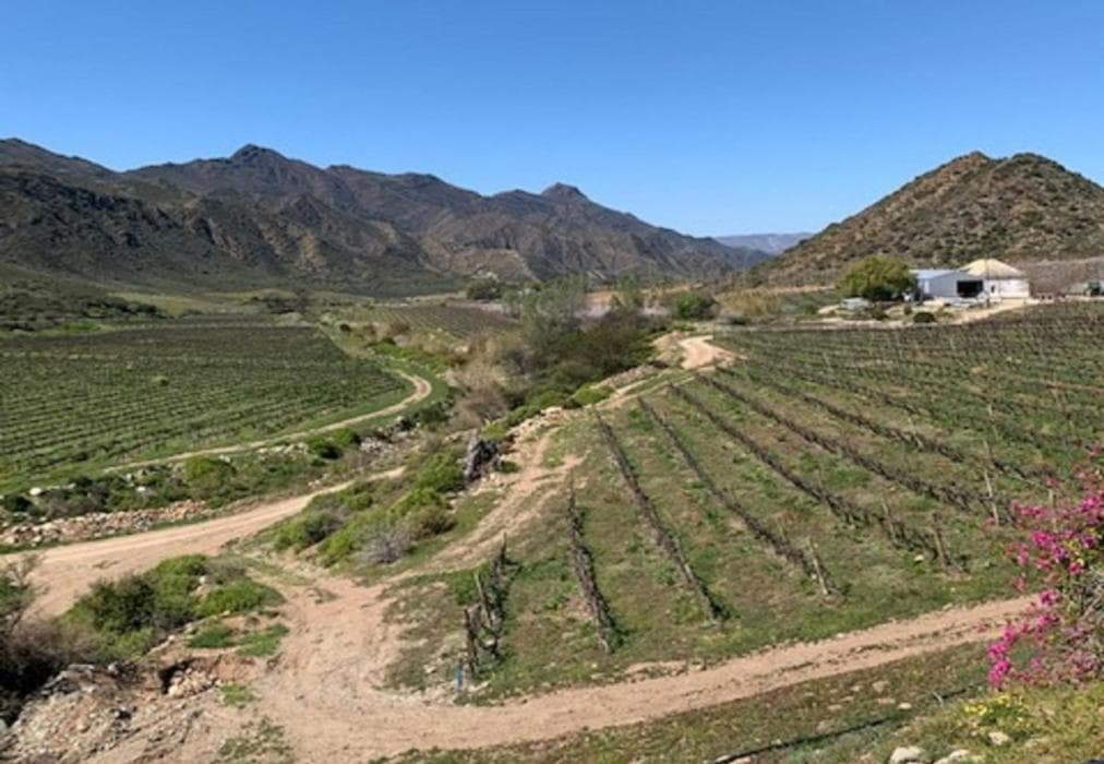Ontevreden Farm Cottage