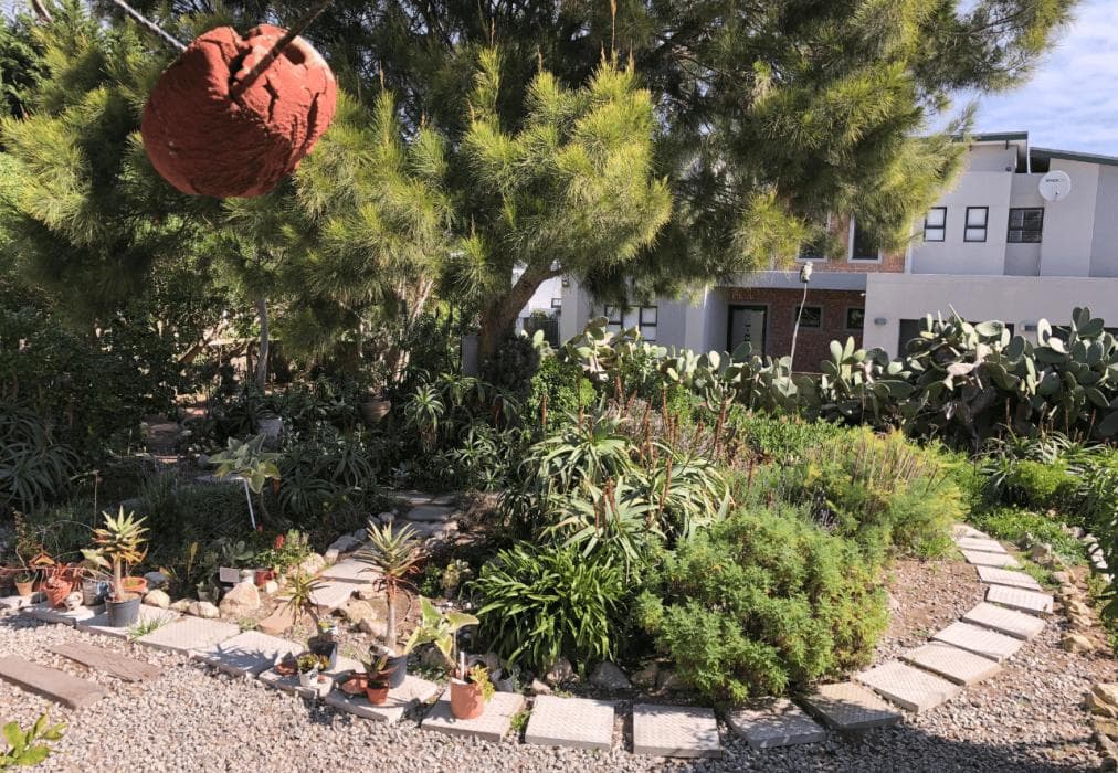 Wild Aloe Apartments