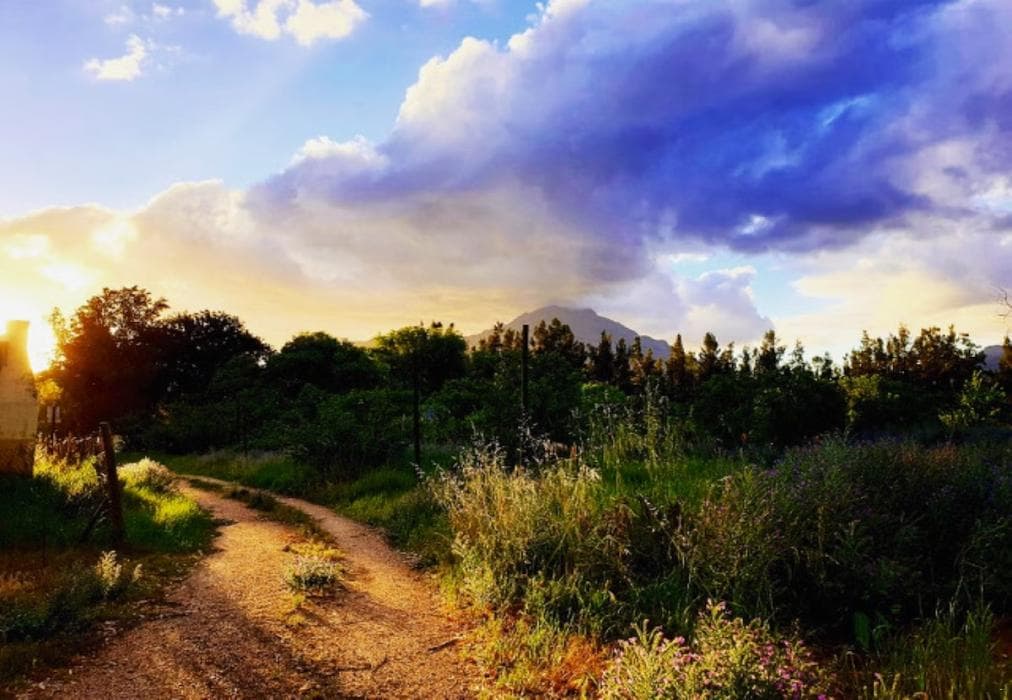 L'Bloom Family House