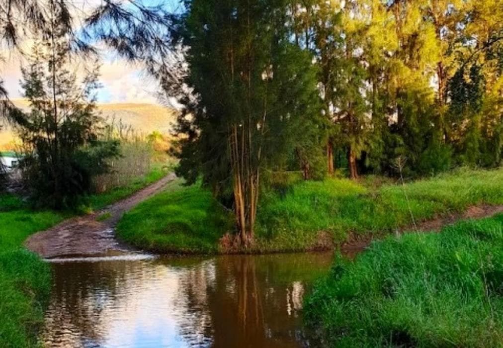 L'Bloom Family House