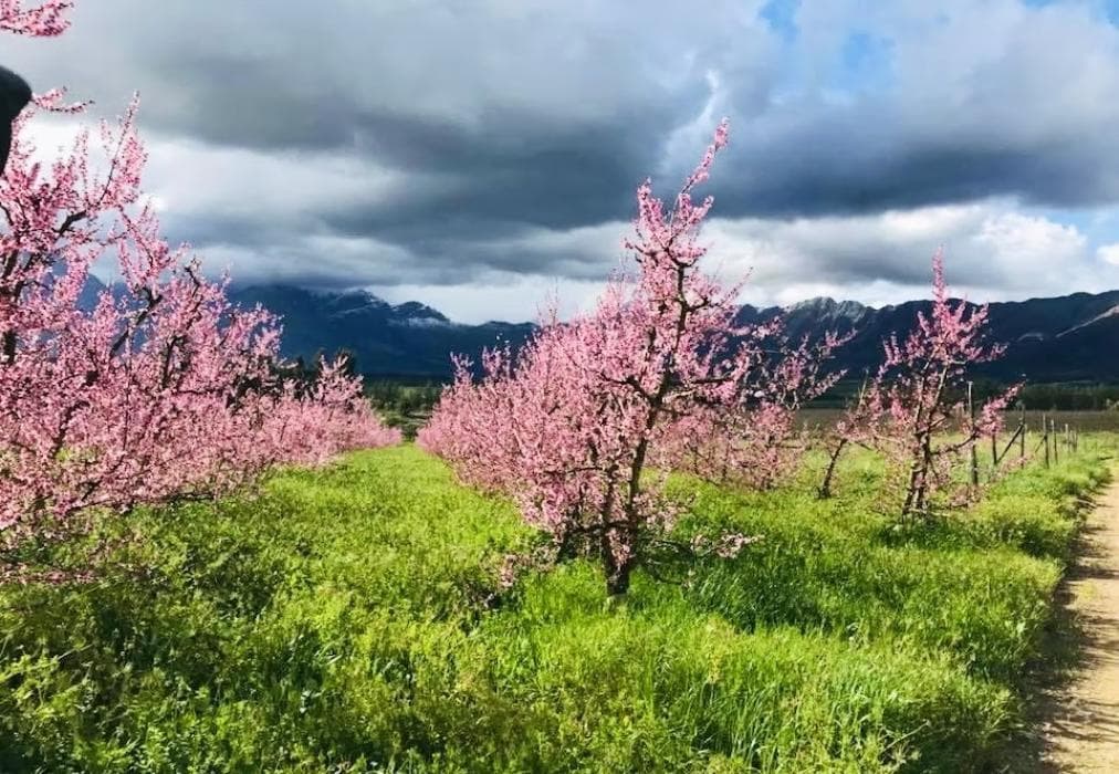 L'Bloom Family House