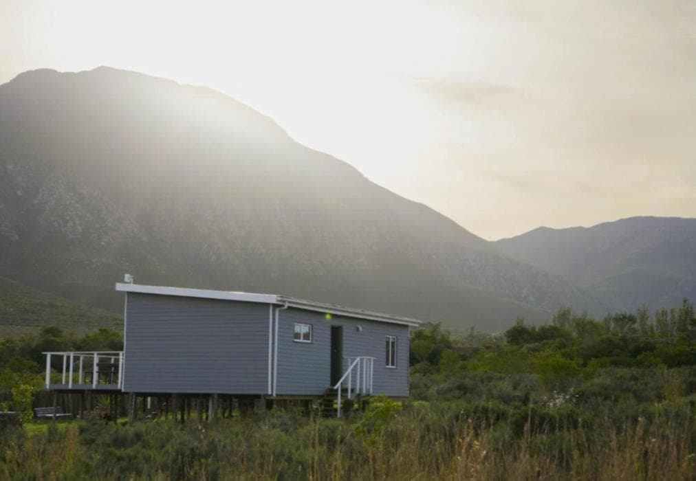 Stay @ Running Stream