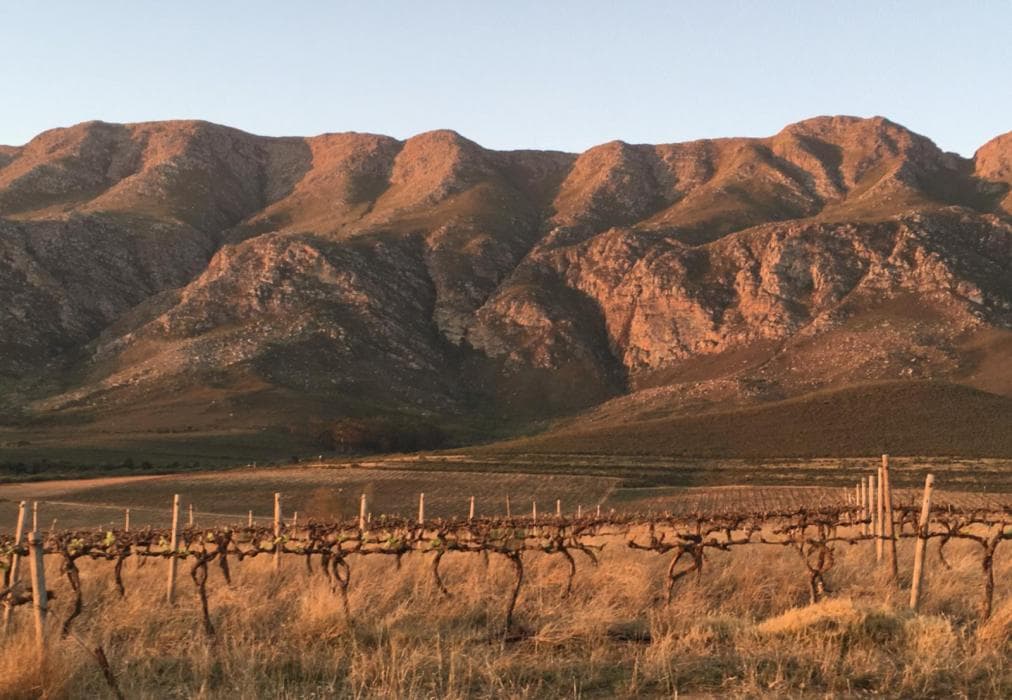 Stay @ Running Stream