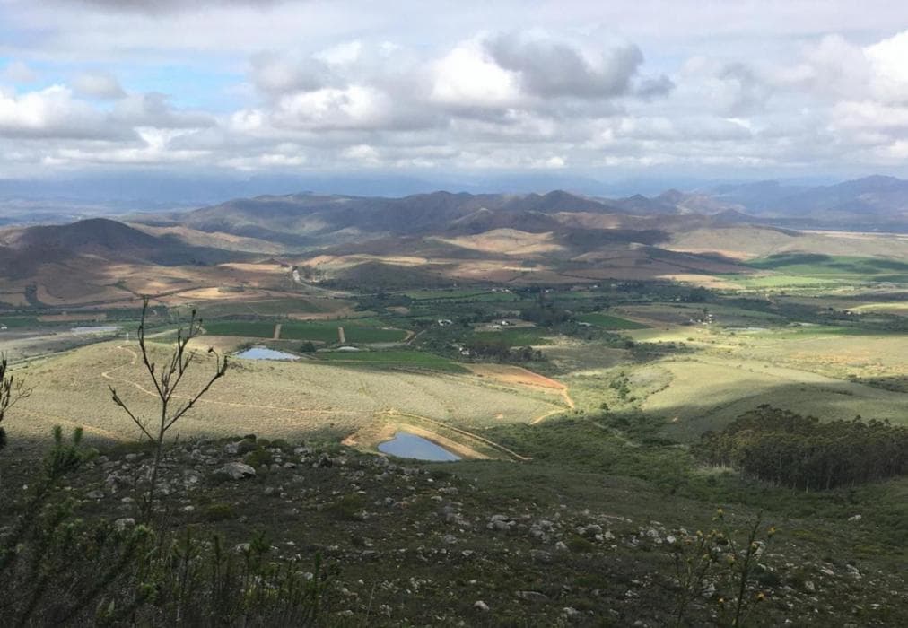 Stay @ Running Stream