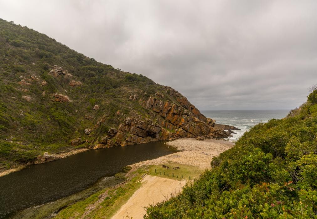 Ballots Bay Treehouse