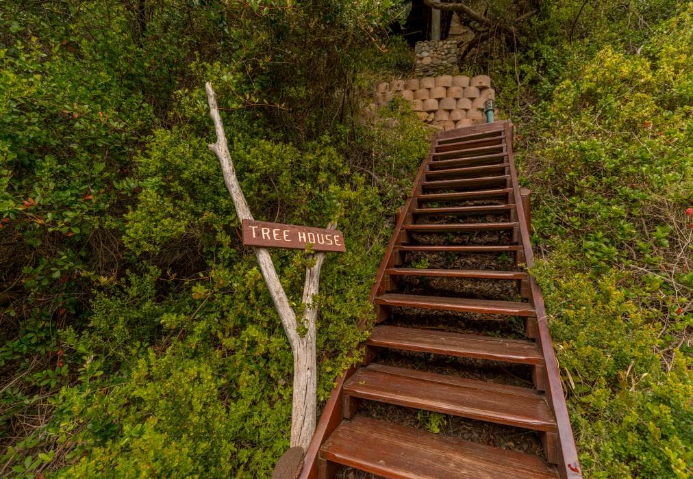 Ballots Bay Treehouse