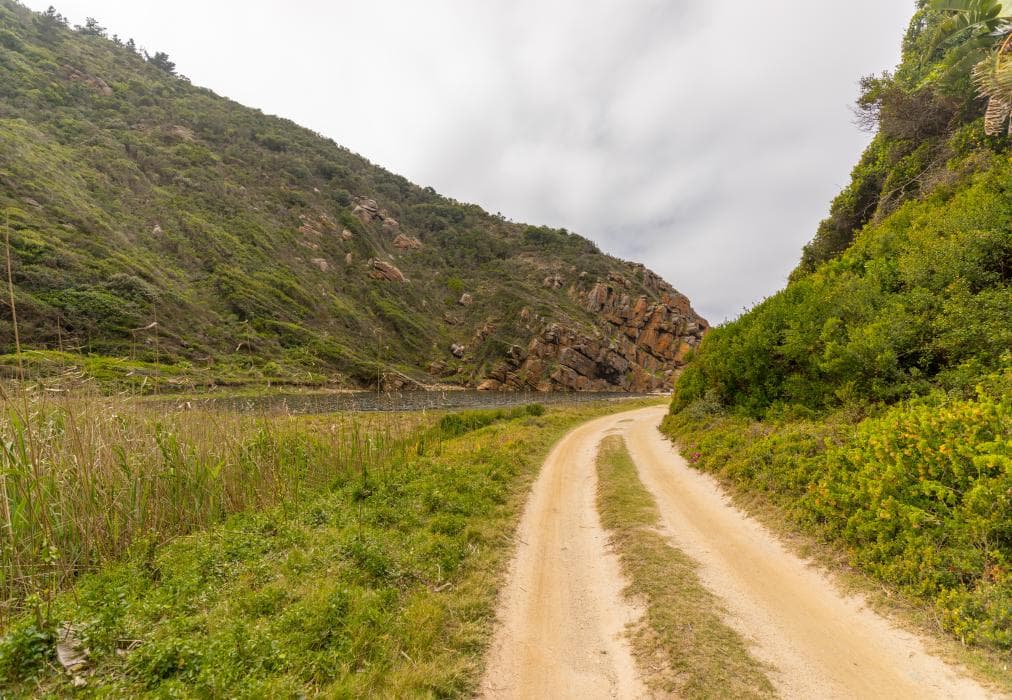 Ballots Bay Treehouse