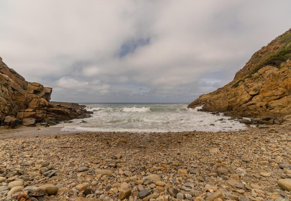 Ballots Bay Treehouse