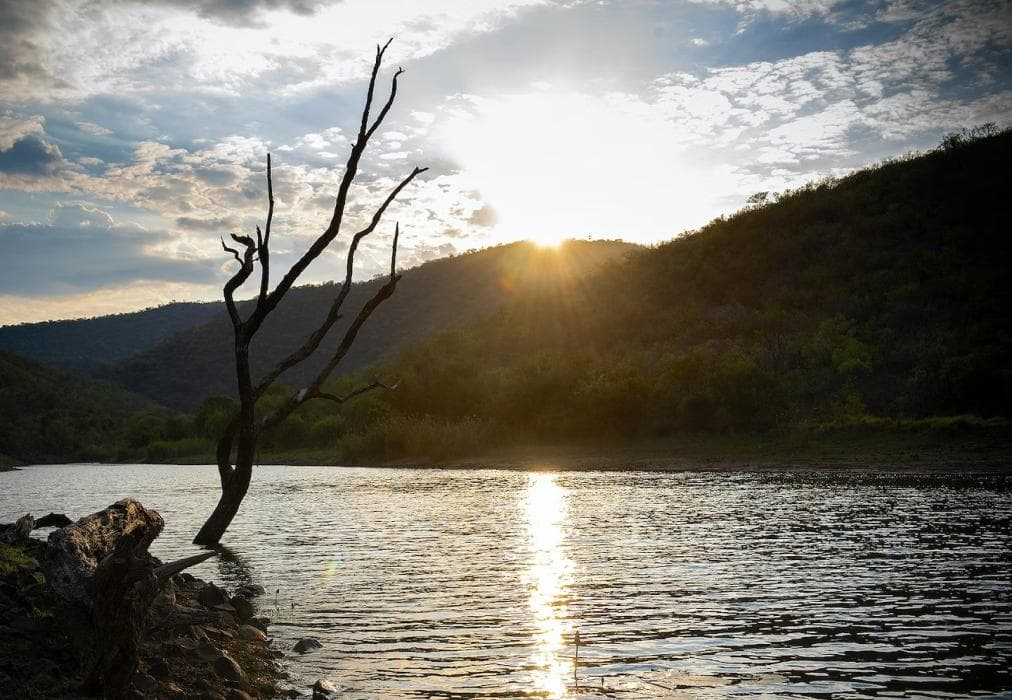 Mabalingwe Elephant Lodge 267-8