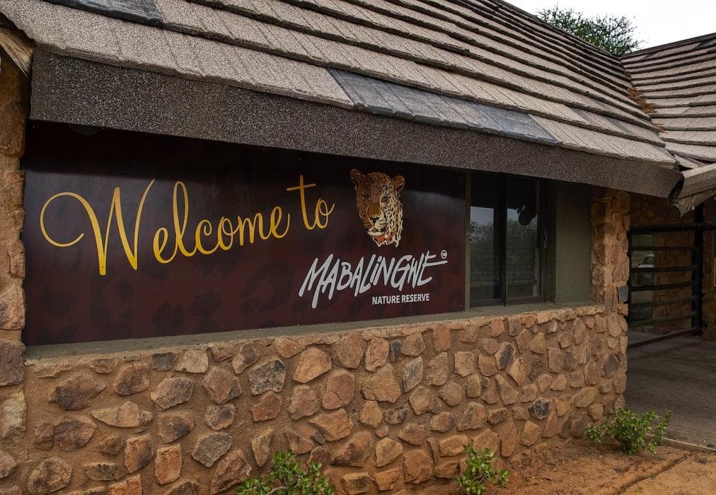 Mabalingwe Elephant Lodge 267-8