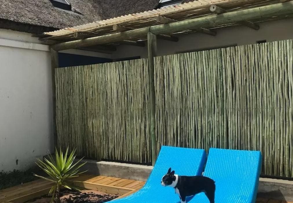 Zula Beach House and Cottage