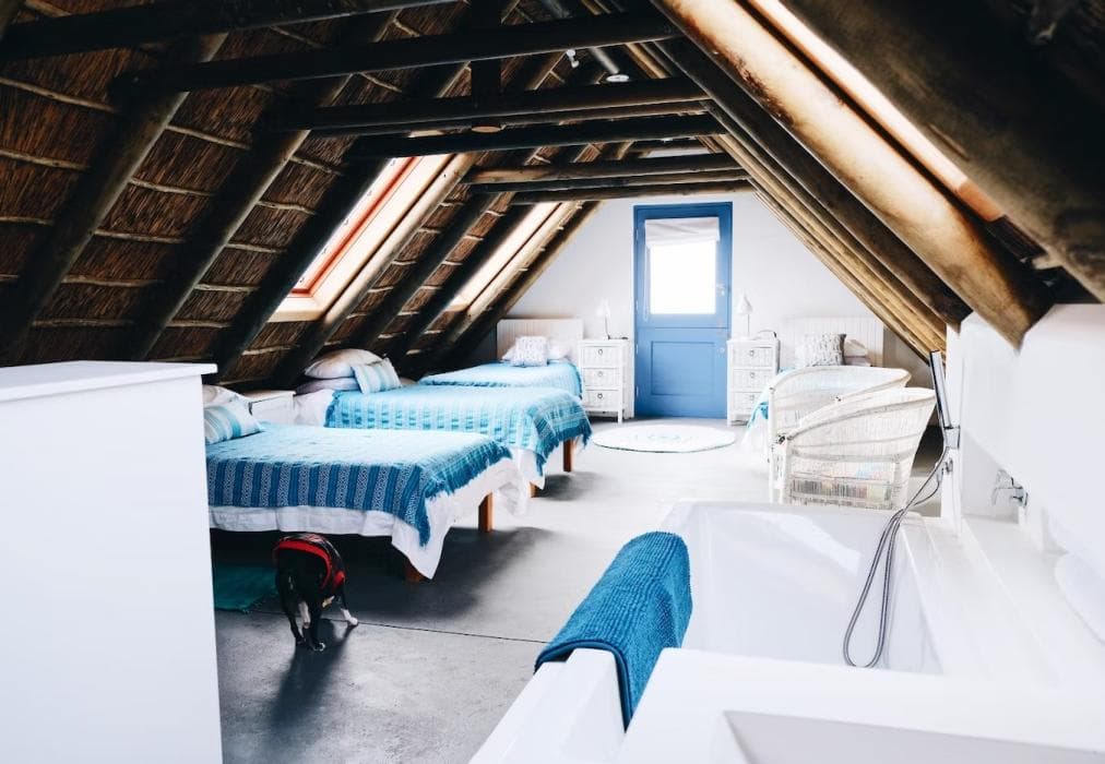 Zula Beach House and Cottage