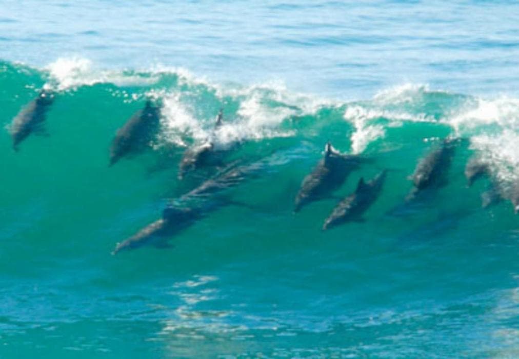 Escape to Casa Branca -16 The Waterfront