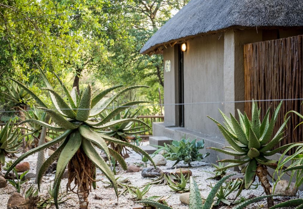 Nkanyi Wildlife House & Cottage